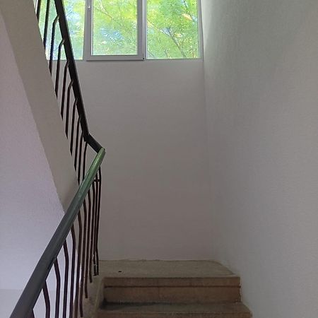 Apartman Sonja Hostel Ντουμπρόβνικ Εξωτερικό φωτογραφία